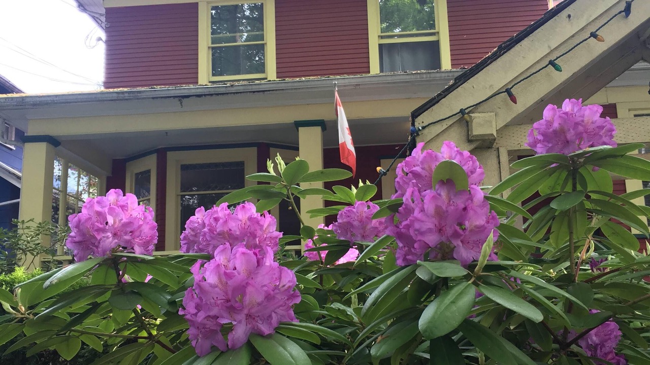 Photo of Outdoor in Mount Pleasant