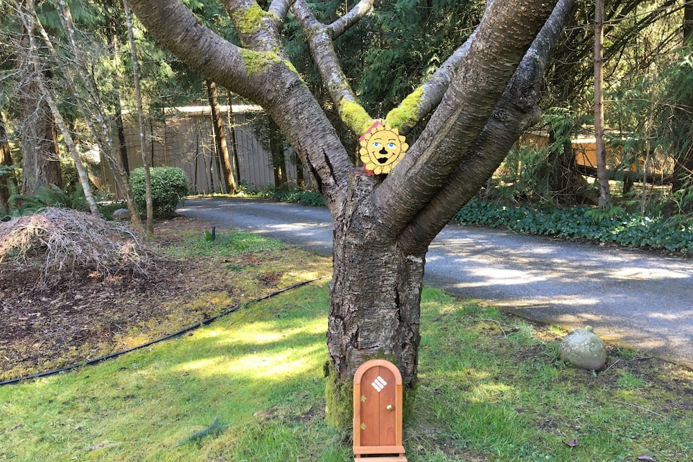 Photo of Outdoor in Mill Bay