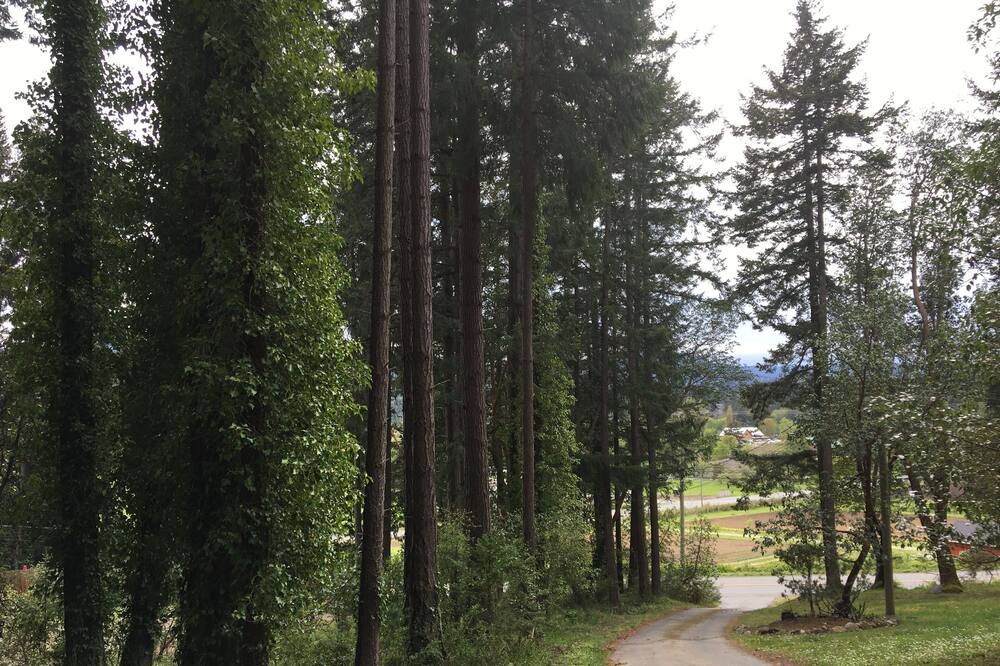Photo of Outdoor in Mill Bay
