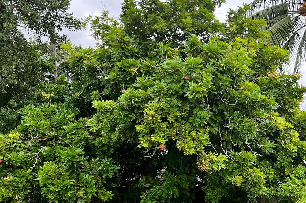 Photo of Outdoor in Miami Gardens