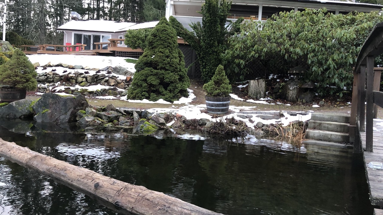 Photo of Outdoor in Shawnigan Lake
