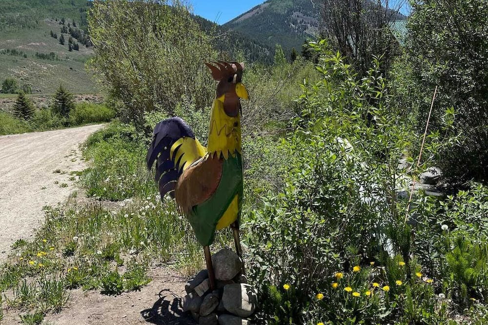 Photo of Others in Crested Butte