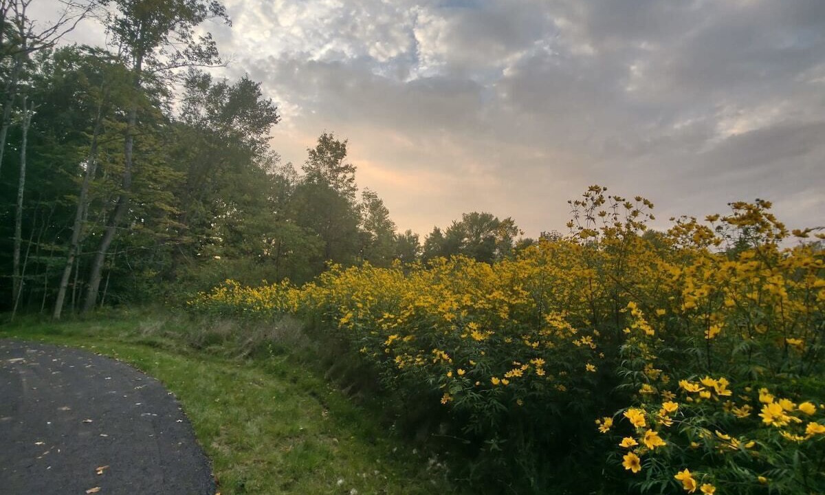 Photo of Outdoor in Brunswick