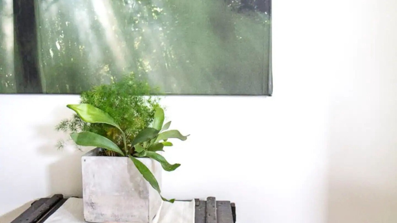 Photo of Others in Strathcona