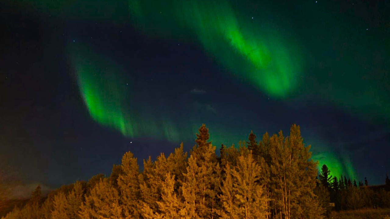 Photo of Outdoor in Haines Junction