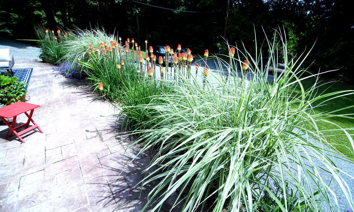 Photo of Outdoor in Yellow Point