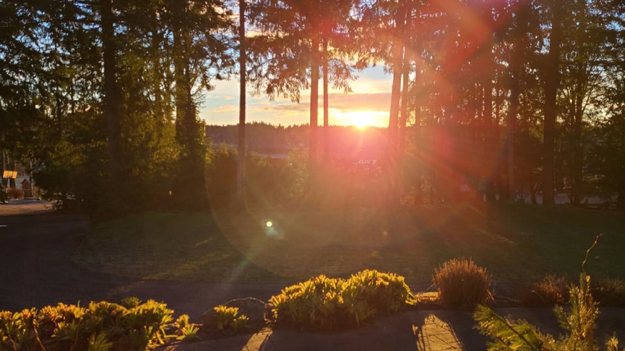 Photo of Outdoor in Yellow Point