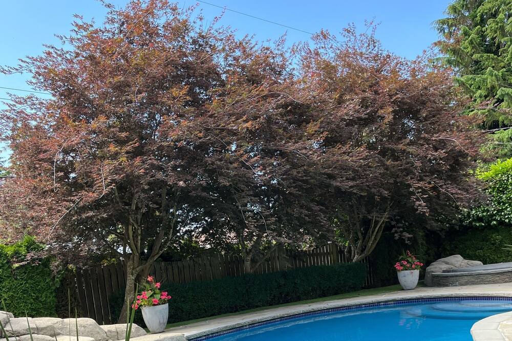 Photo of Outdoor in District of North Vancouver