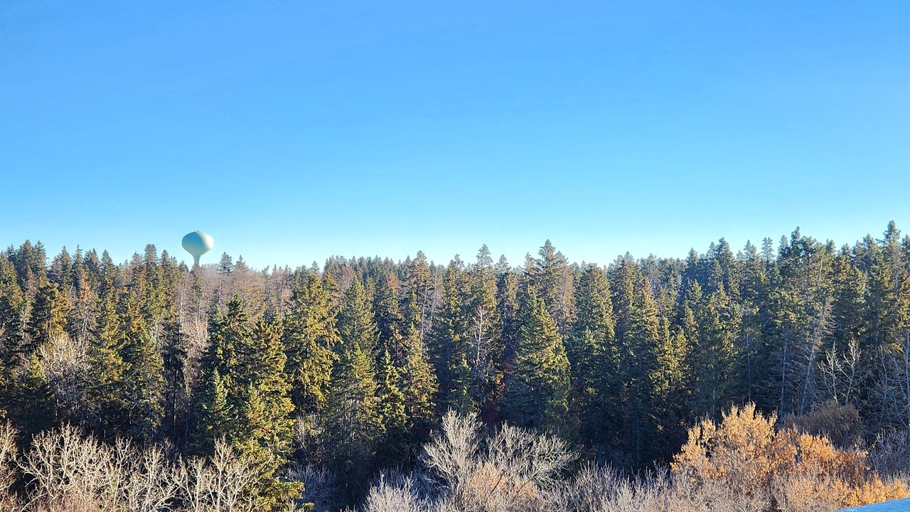 Photo of Outdoor in Red Deer