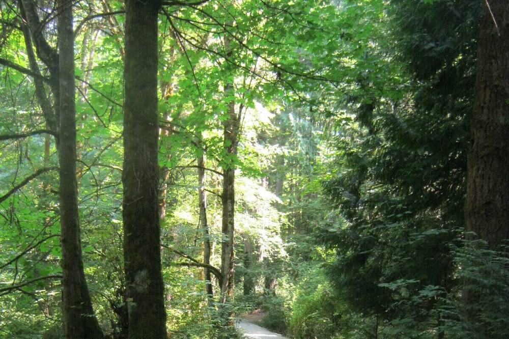 Photo of Outdoor in Shawnigan Lake