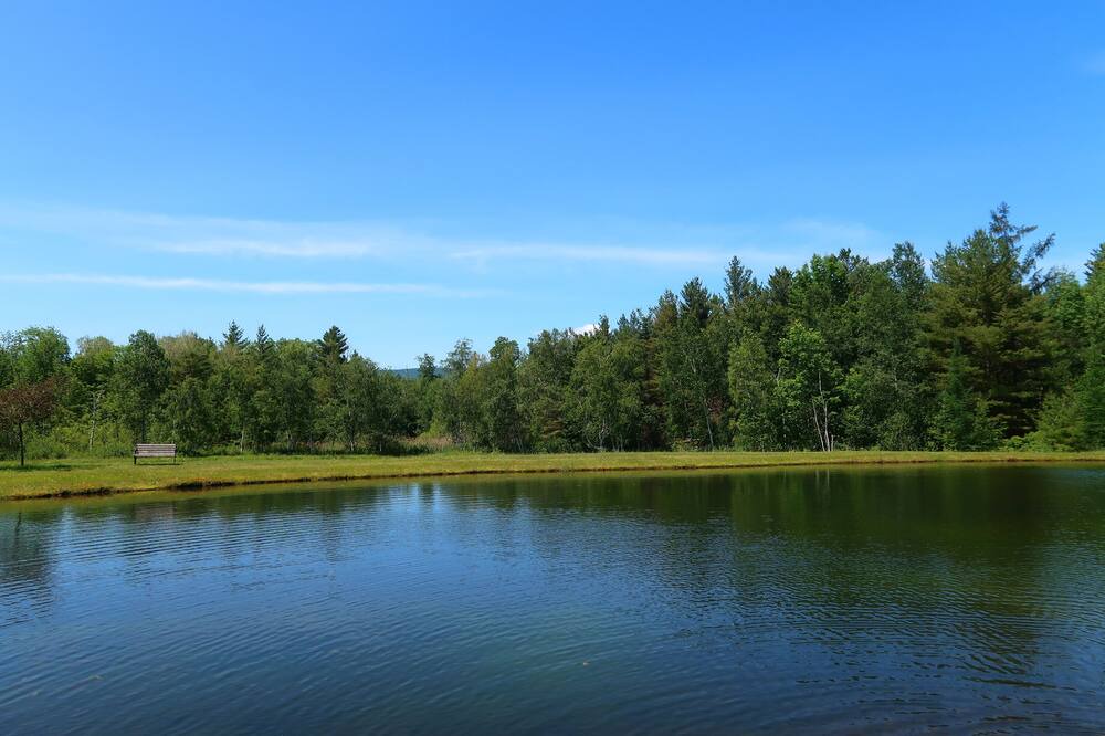 Photo of Outdoor in Dorset