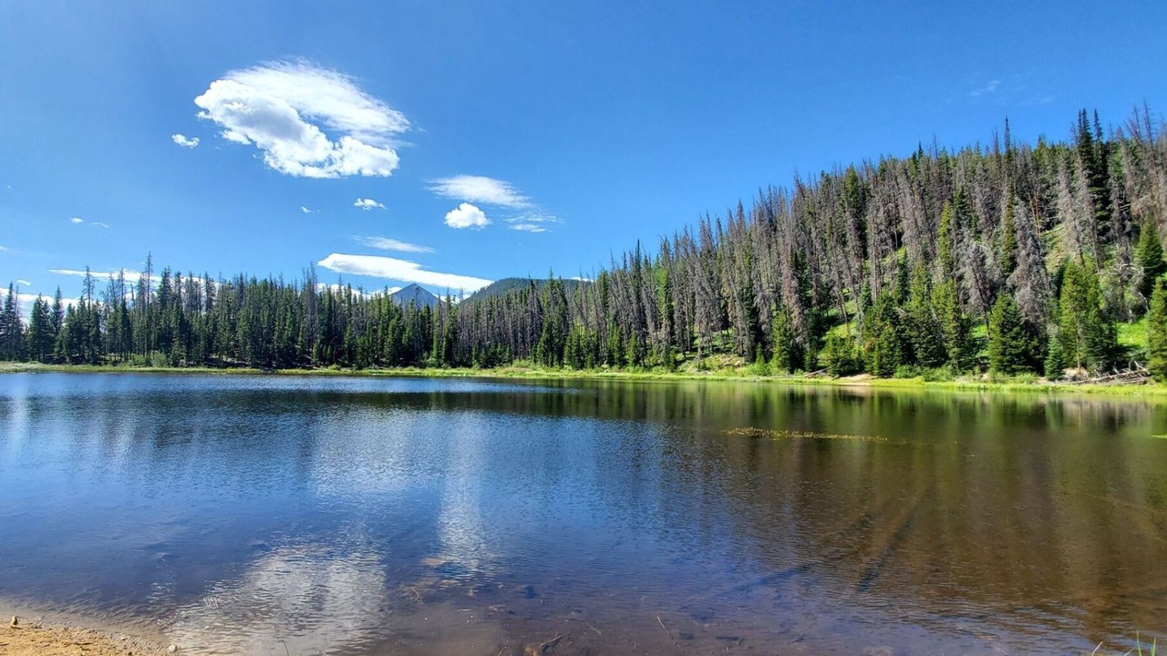 Photo of Outdoor in Wildernest