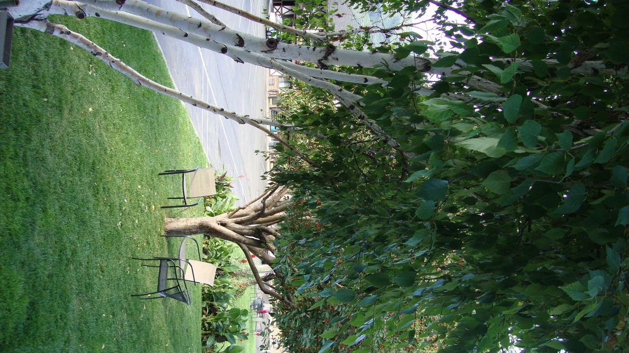Photo of Outdoor in Glenwood Springs