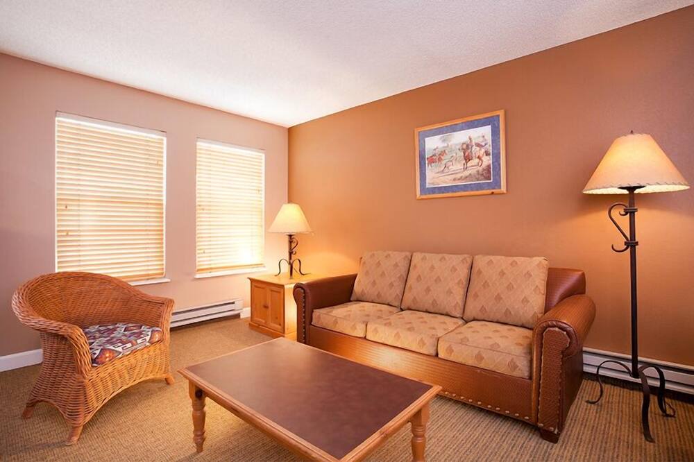 Photo of Livingroom in Steamboat Springs