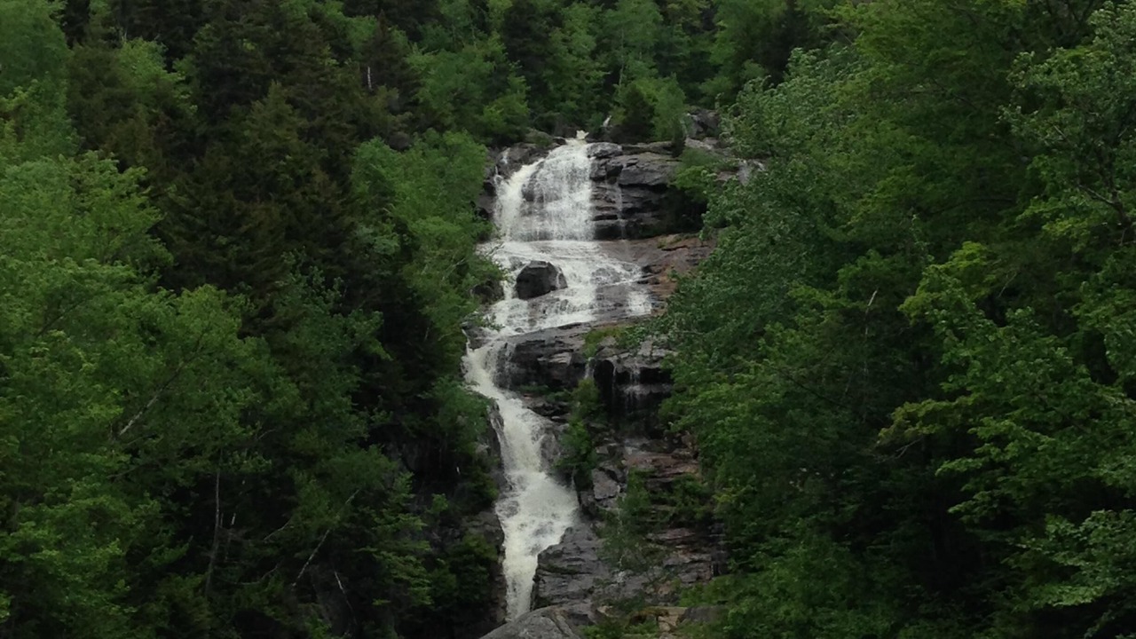 Photo of Outdoor in Birchview by the Saco