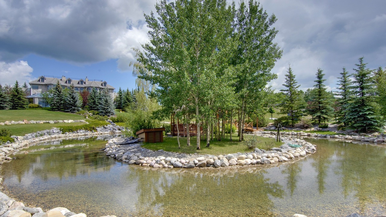 Photo of Outdoor in Bighorn No. 8