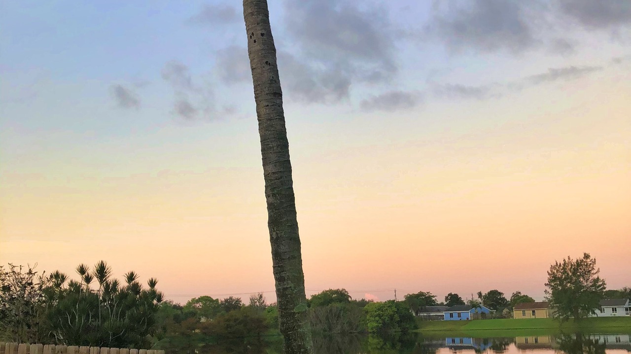 Photo of Outdoor in Royal Palm Beach