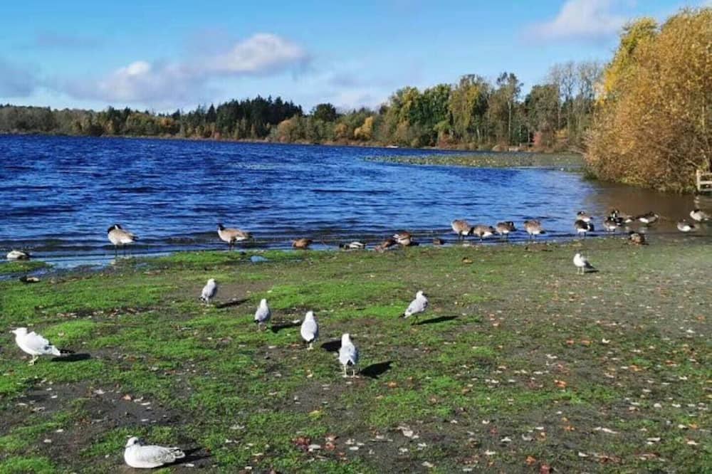 Photo of Others in Burnaby