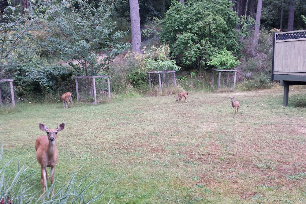 Photo of Outdoor in Highlands