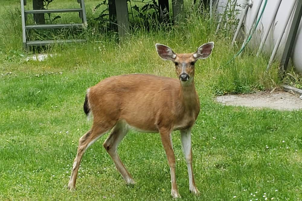 Photo of Outdoor in Highlands