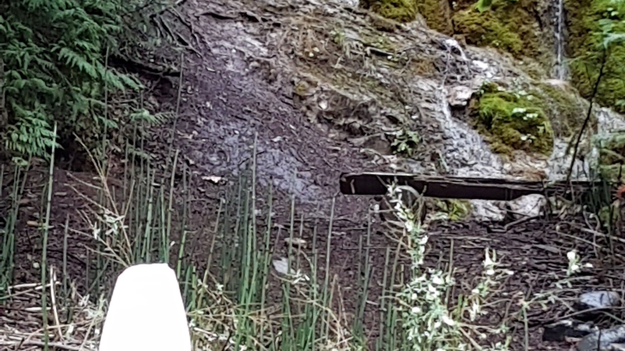 Photo of Outdoor in Anglemont