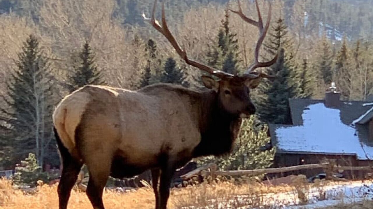 Photo of Outdoor in Estes Park