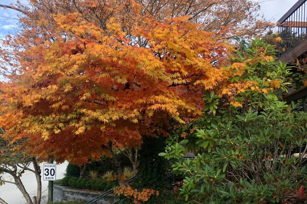 Photo of Outdoor in Port Moody