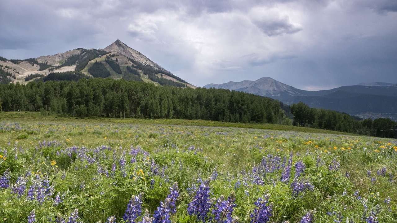 Photo of Others in Crested Butte
