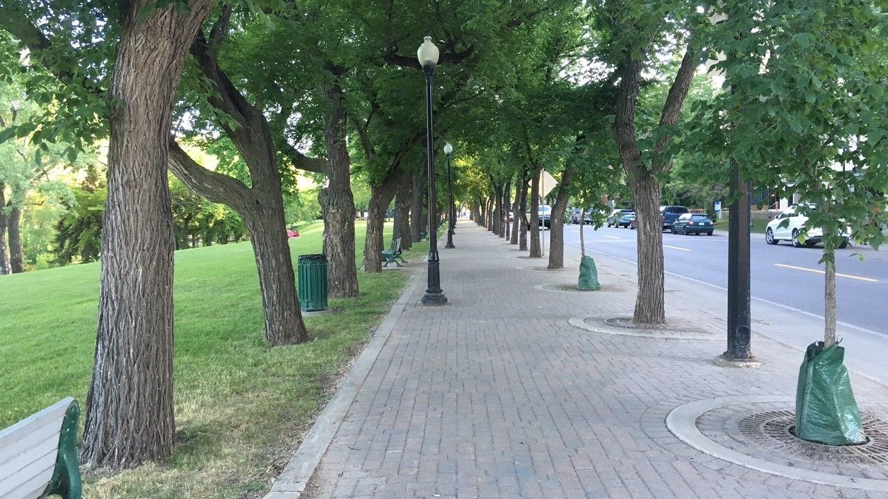 Photo of Others in Saskatoon Downtown