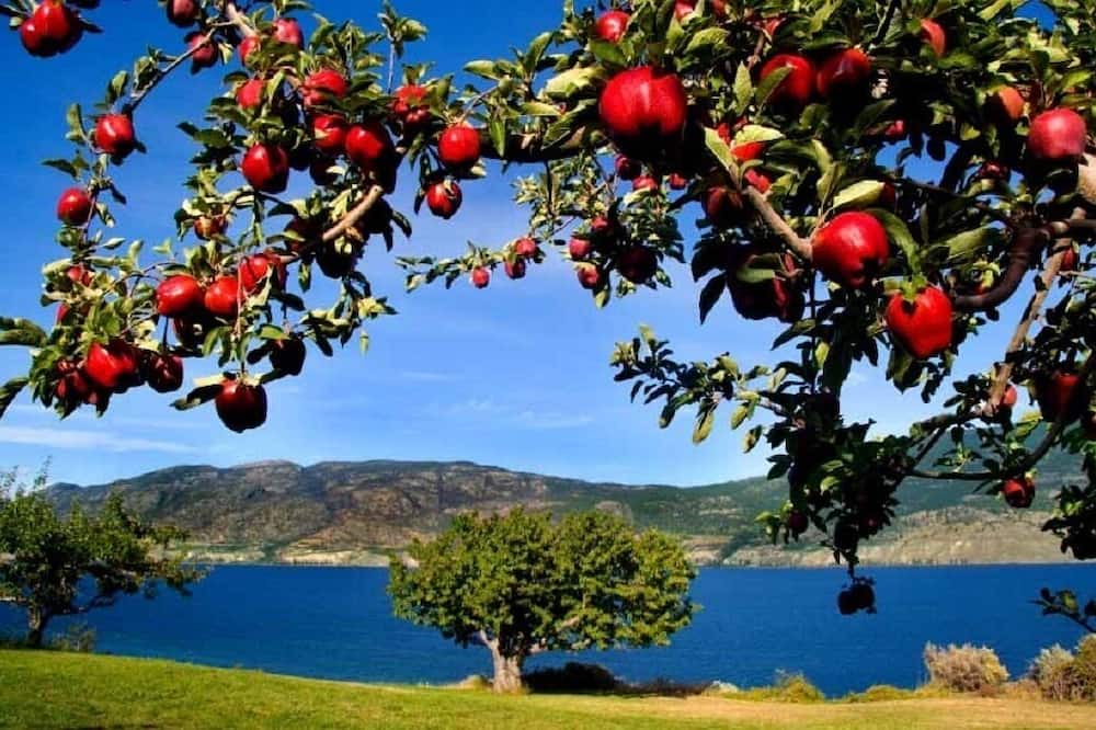 Photo of Outdoor in Okanagan-Similkameen