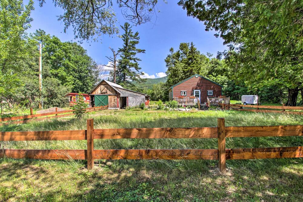 Photo of Outdoor in Bartlett