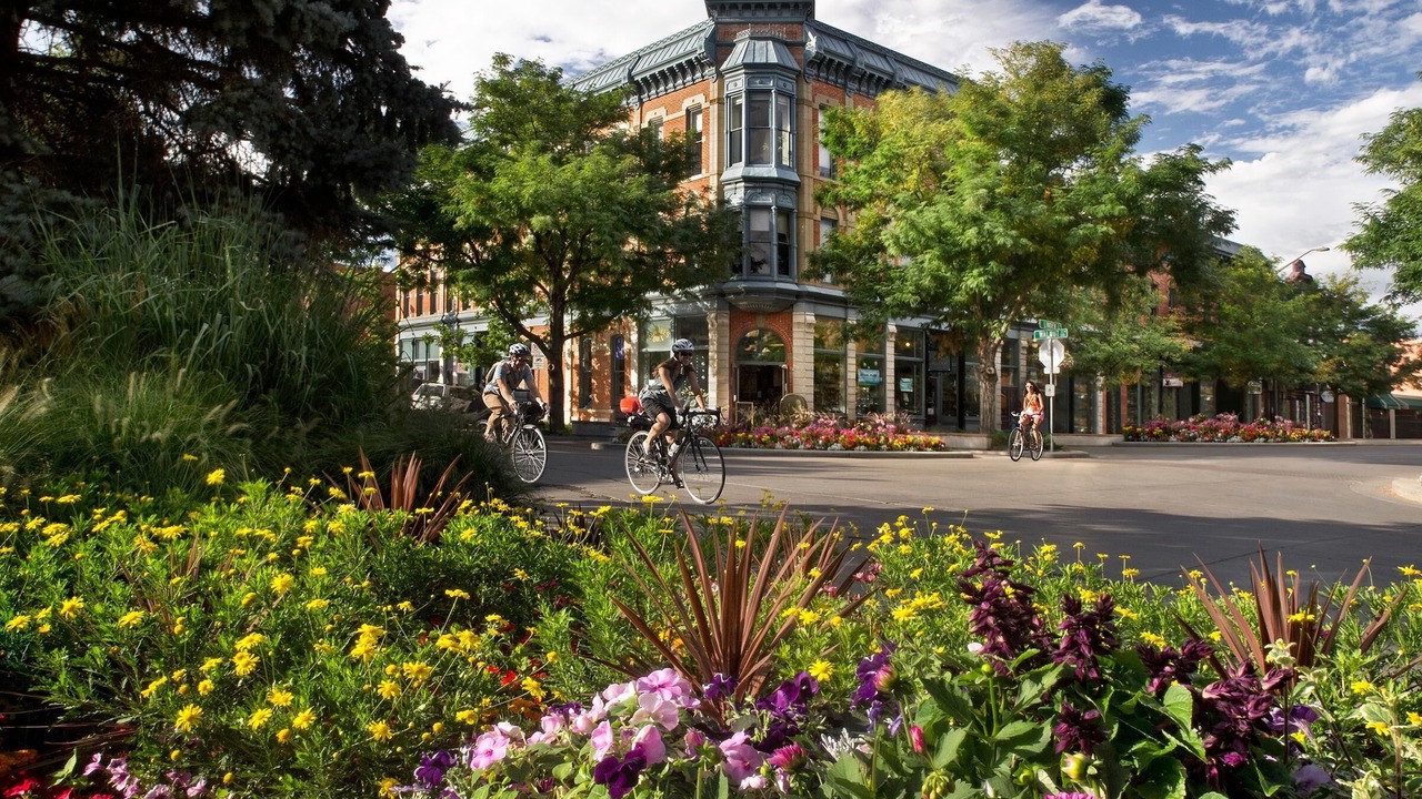 Photo of Outdoor in University North
