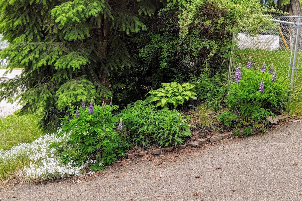 Photo of Outdoor in Anglemont
