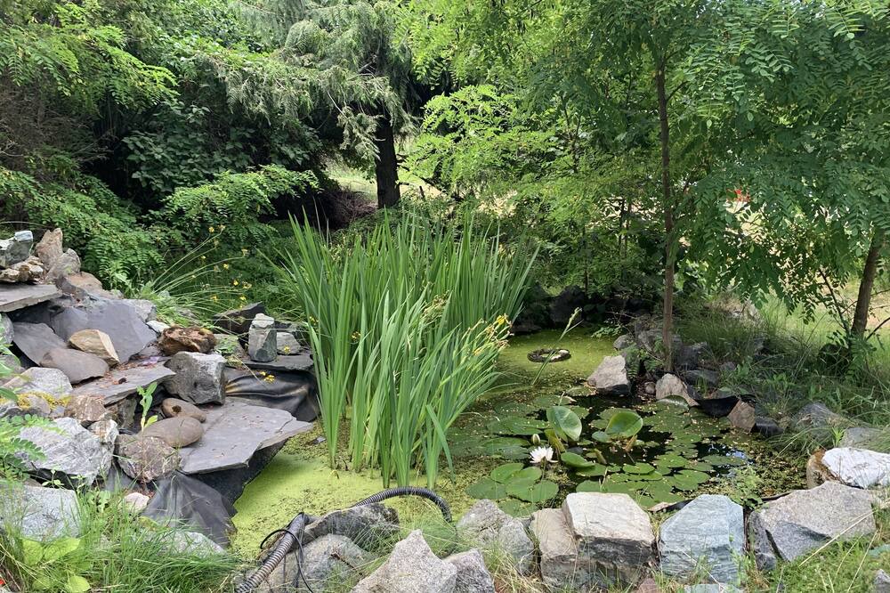 Photo of Outdoor in Christina Lake