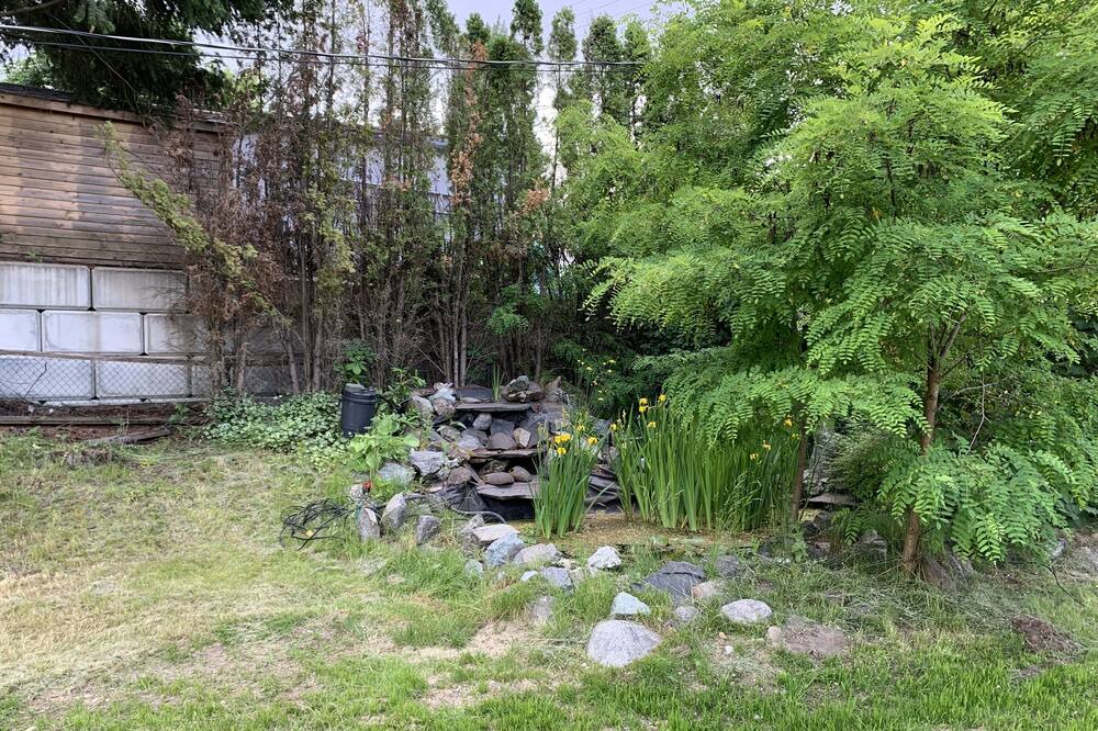 Photo of Outdoor in Christina Lake