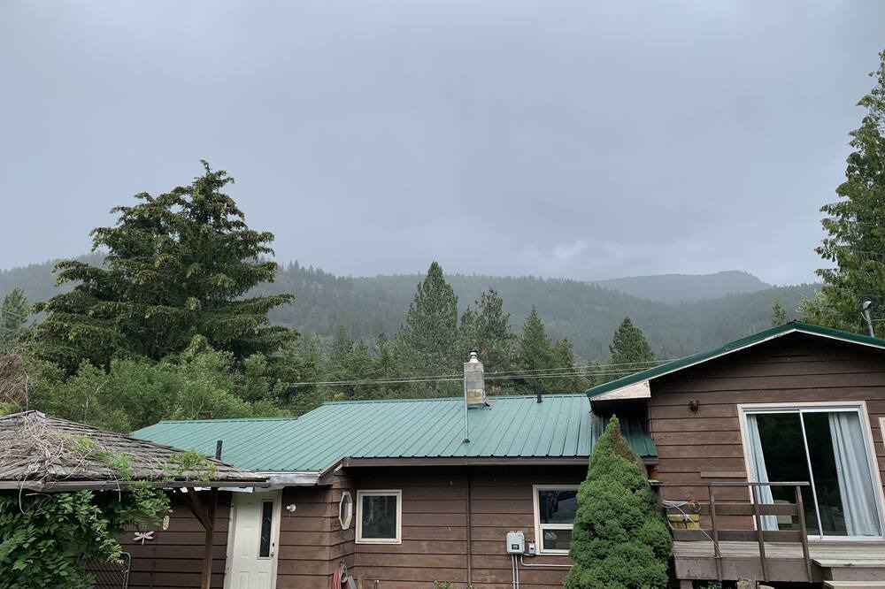 Photo of Outdoor in Christina Lake