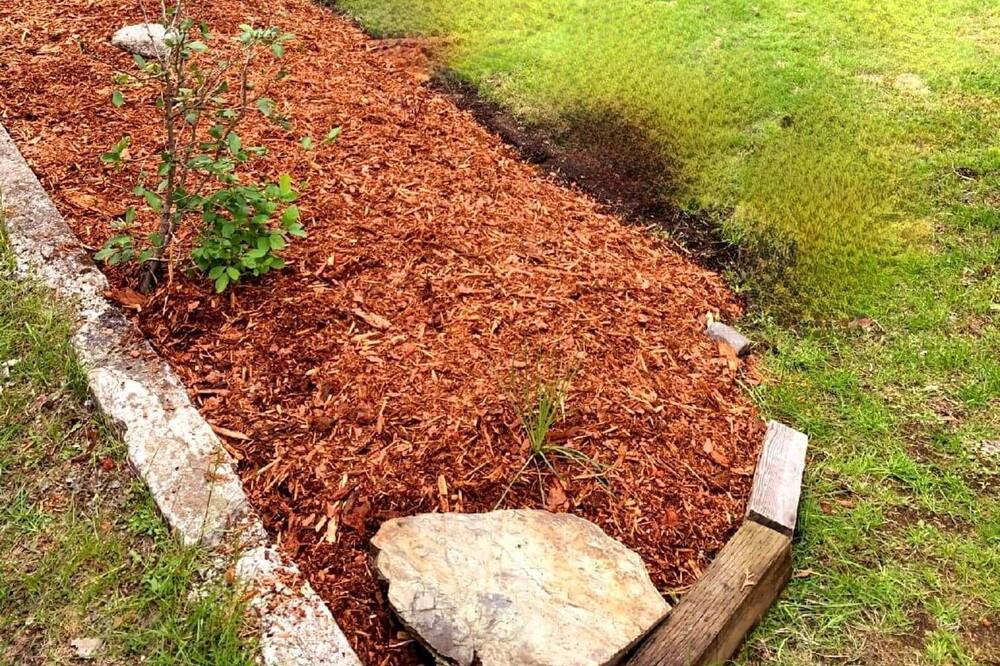 Photo of Outdoor in Christina Lake