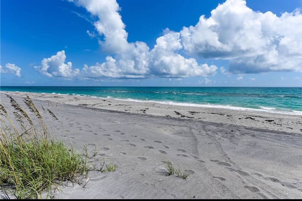Photo of Others in Hobe Sound