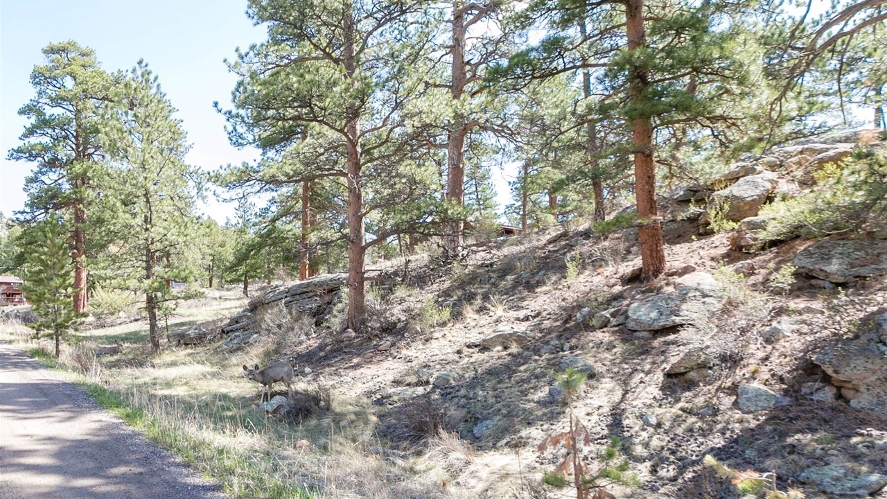 Photo of Outdoor in Estes Park