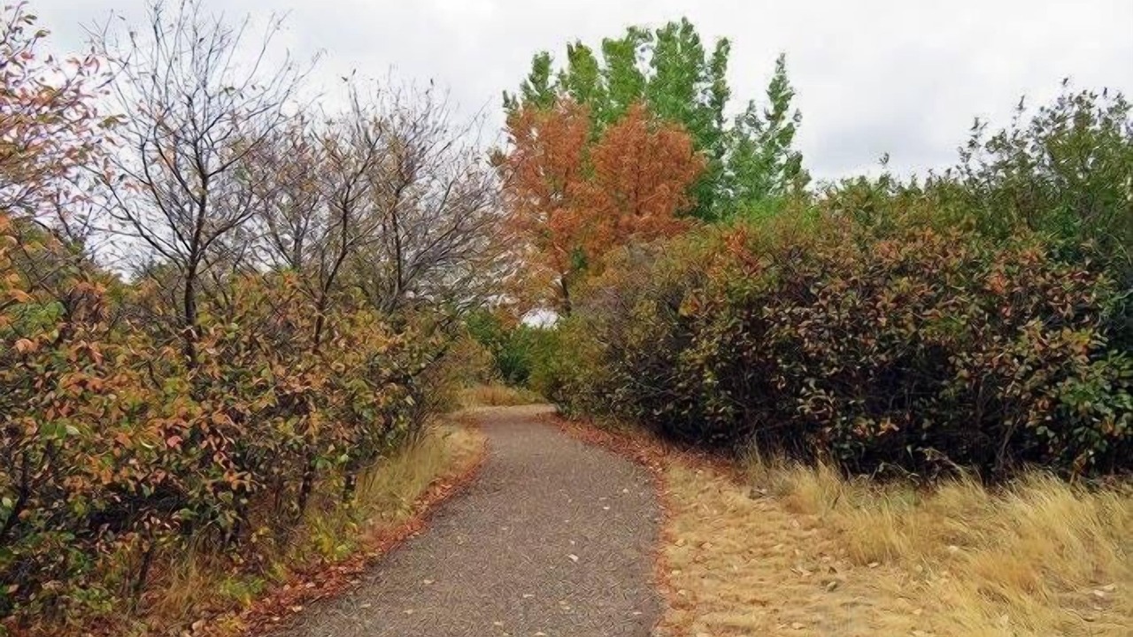 Photo of Others in Medicine Hat