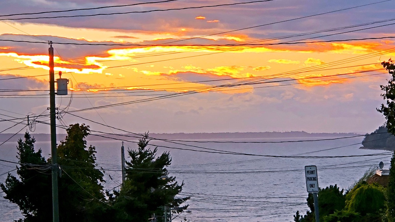 Photo of Others in White Rock