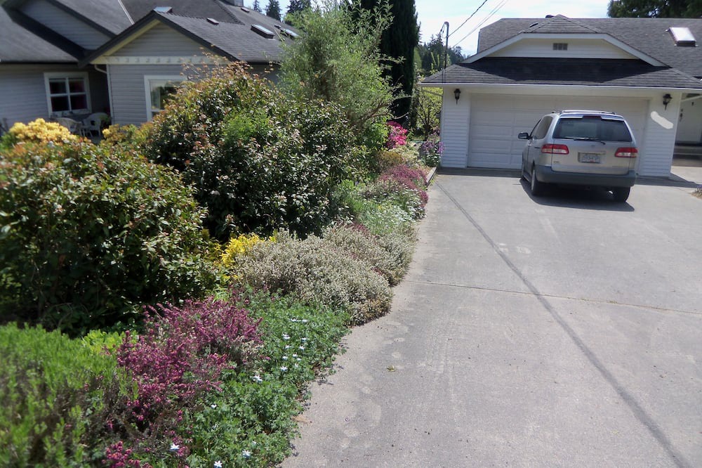 Photo of Outdoor in East Porpoise Bay