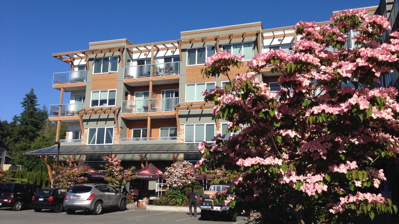 Photo of Outdoor in Colwood