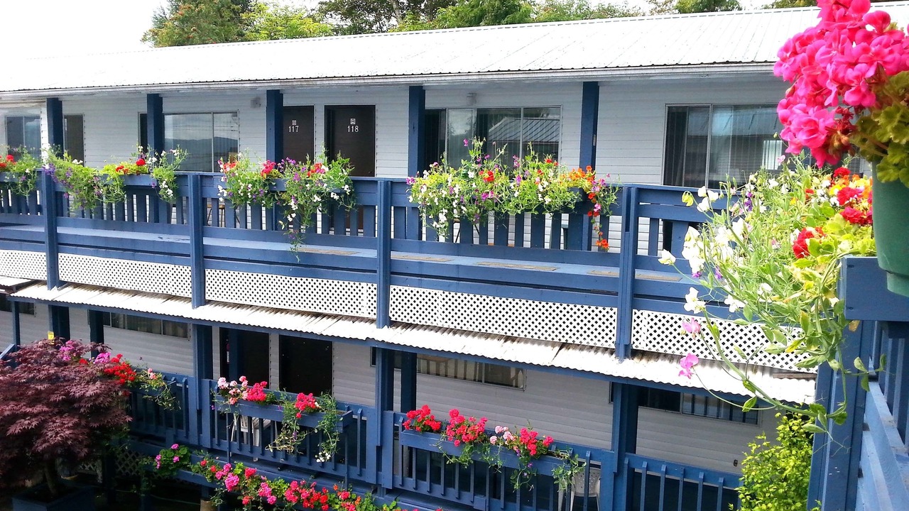 Photo of Outdoor in Queen Charlotte