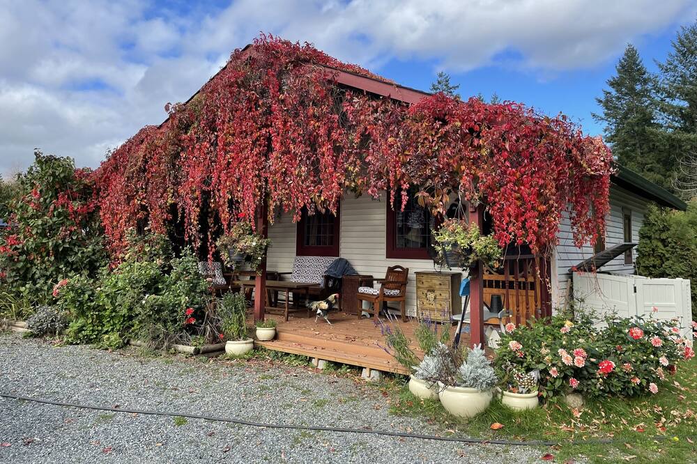 Photo of Outdoor in Yellow Point