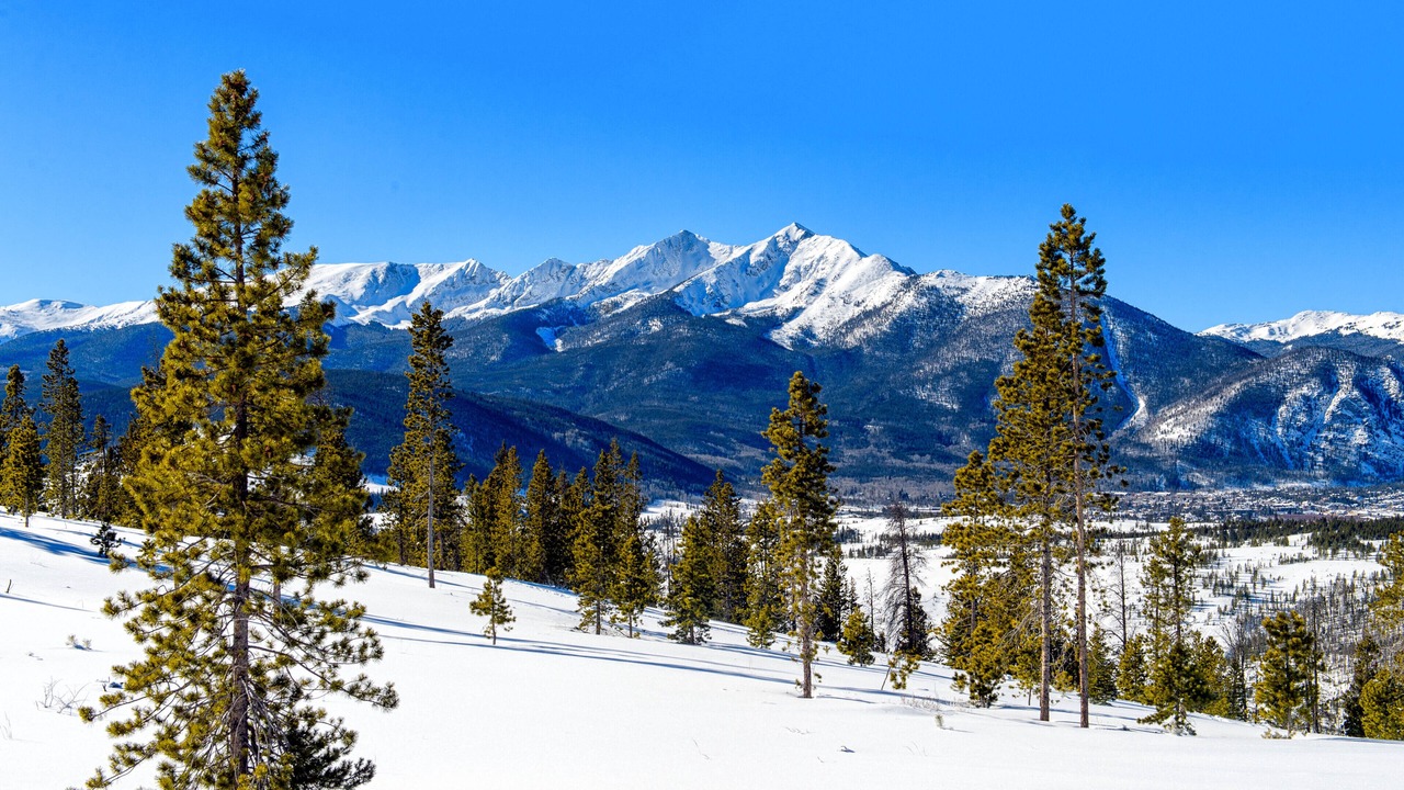Photo of Outdoor in South Fork