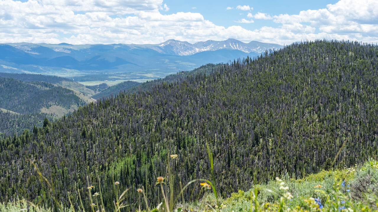 Photo of Outdoor in South Fork
