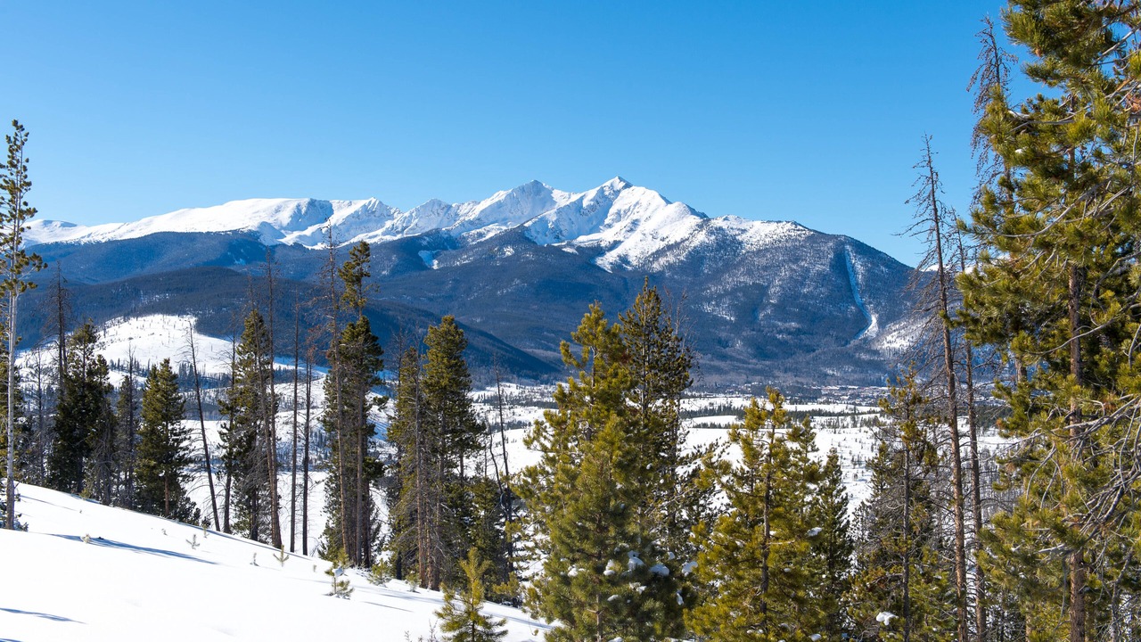 Photo of Others in South Fork