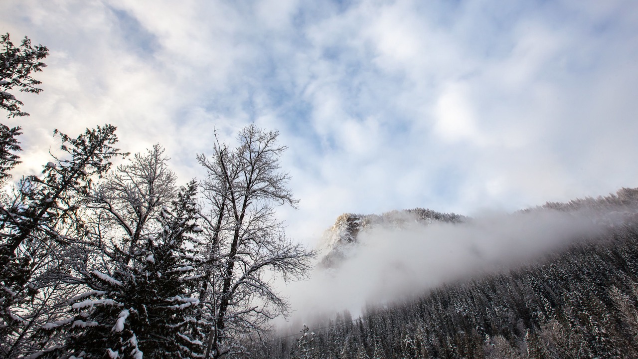 Photo of Others in Revelstoke