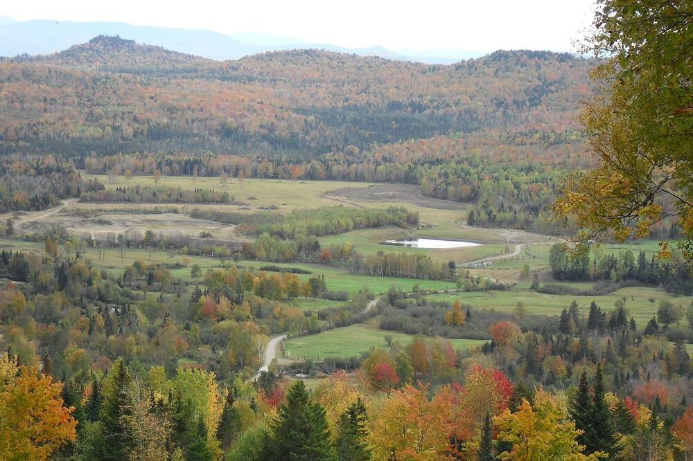 Photo of Outdoor in Errol